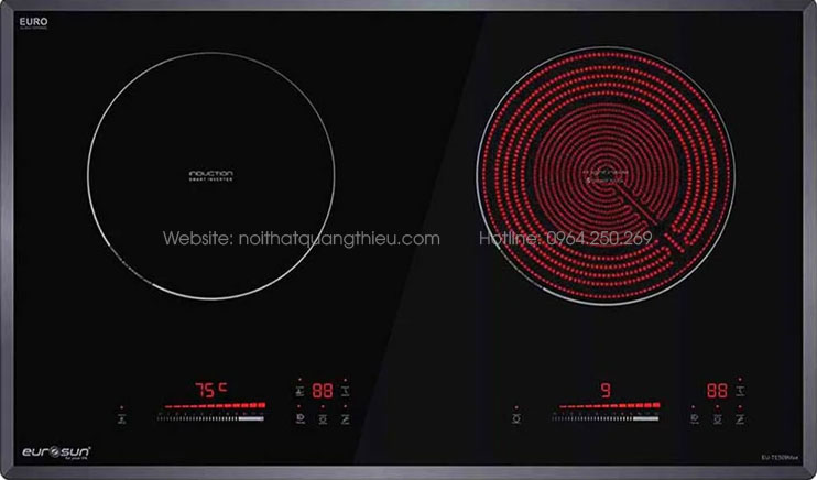 Bếp điện từ Eurosun EU-TE509Max