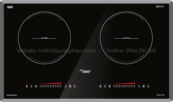 Bếp từ Canzy CZ 79D